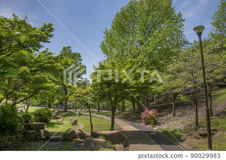Kishine Park, Kishine-cho, Kohoku-ku, Yokohama-shi, Kanagawa 90029983