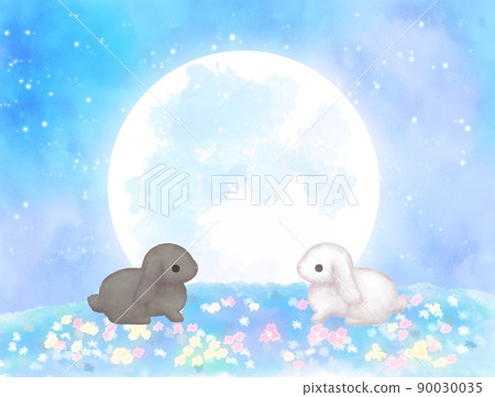 Big full moon flower field white rabbit and black rabbit starry sky 90030035