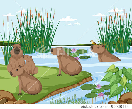 Capybara living in the nature pond 90030114