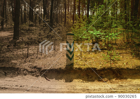 The border of a dead forest and a living flowering forest. Border in the form of a border pillar. Prosperity and lifelessness. The concept of infection, environmental disaster, radiation 90030265