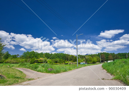 1pondo in early summer 1pondo in early summer 90030409