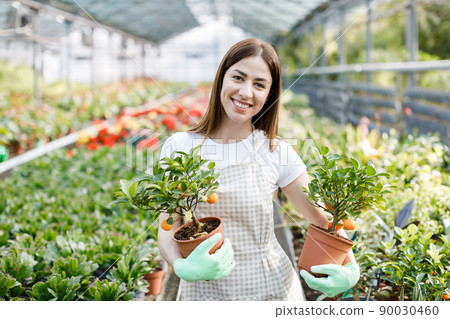 Woman holds a pot of flowers in her hands, growing plants for sale, plant as a gift, flowers in a greenhouse, potted plant. Woman holds a pot of flowers in her hands, growing plants for sale, plant as a gift, flowers in a greenhouse, potted plant. 90030460