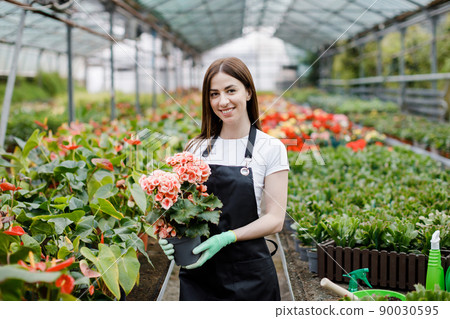 Woman holds a pot of flowers in her hands, growing plants for sale, plant as a gift, flowers in a greenhouse, potted plant. Woman holds a pot of flowers in her hands, growing plants for sale, plant as a gift, flowers in a greenhouse, potted plant. 90030595