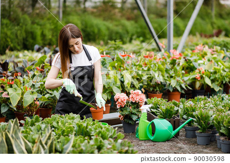 A young woman transplants plants and takes care of flowerpots in a greenhouse. The concept of growing plants. Home gardening, love of plants and care. Small business. 90030598