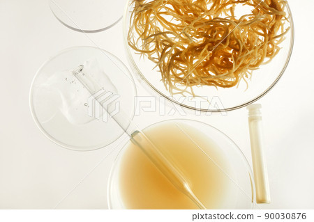 Abstract cosmetic laboratory. Nature cosmetics with sea moss. Chemical laboratory research. Abstract cosmetic laboratory. Nature cosmetics with sea moss. Chemical laboratory research. 90030876