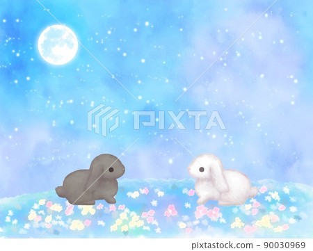 月夜花田白兔和黑兔星空 月夜花田白兔和黑兔星空 90030969