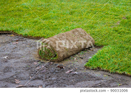 Rolled grass lawn closeup is ready for laying natural grass 90031006
