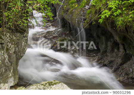 新鮮的綠色和山間溪流 新鮮的綠色和山間溪流 90031296