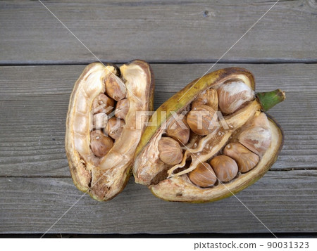 Pachira seeds Pachira seeds 90031323