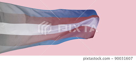 gradient transgender pride flag, web banner 90031607