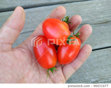 Sicilian rouge 90031877