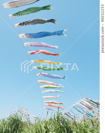Blue sky and many carp streamers 90032253