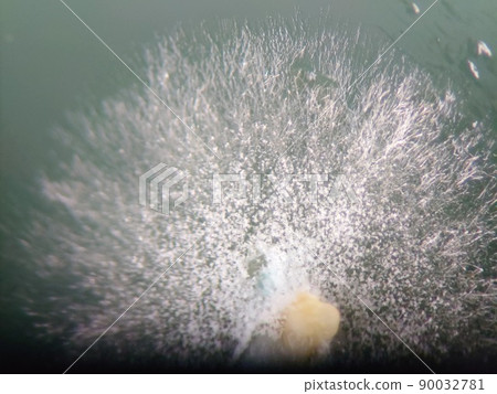 Mildew spreading on the fan 90032781