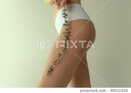 Cropped image of slim female body, buttocks in underwear with plant twig isolated over grey studio background. Smooth skin Cropped image of slim female body, buttocks in underwear with plant twig isolated over grey studio background. Smooth skin 90032836