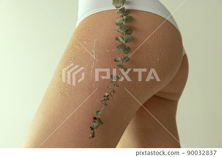 Cropped image of slim female body, buttocks in underwear with plant twig isolated over grey studio background. Anti-cellulite care Cropped image of slim female body, buttocks in underwear with plant twig isolated over grey studio background. Anti-cellulite care 90032837