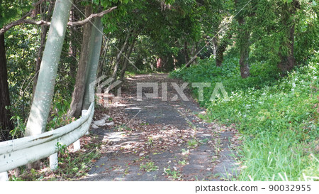 Photo of a steep mountain road <06> (mountain road leading to the mountains) 90032955