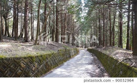 Photo of steep mountain road <11> (mountain road passing through the forest) 90032964