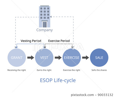 ESOP life cycle is employee stock ownership plan process since granting until sale ESOP life cycle is employee stock ownership plan process since granting until sale 90033132