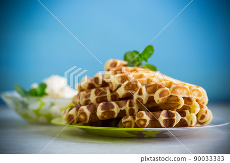 Sweet cottage cheese wafers with a sprig of mint in a plate Sweet cottage cheese wafers with a sprig of mint in a plate 90033383