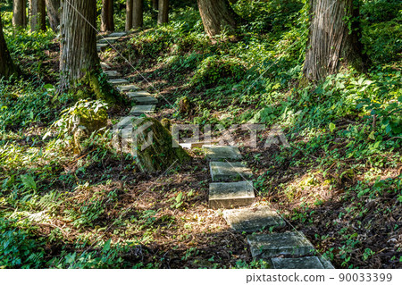 神社後面的長廊 神社後面的長廊 90033399