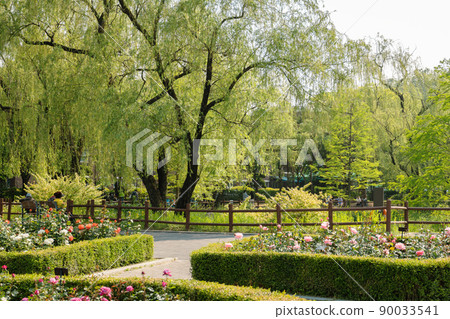Spring of Boramae park in Seoul, Korea Spring of Boramae park in Seoul, Korea 90033541