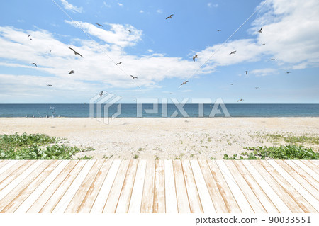 美麗的沙灘，海鷗，夏日海灘度假勝地 90033551