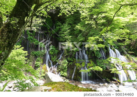 Dragon waterfall Dragon waterfall 90034460