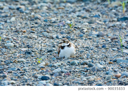 Tantalizing 90035833