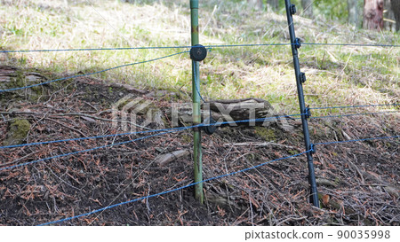 安裝在森林中的電圍欄<01> 90035998