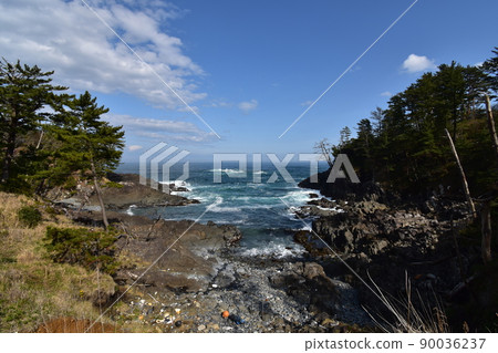 Minamisanriku Kesennuma Kamiwarizaki-san Shopping Street Hotel Kanyo Black-tailed Gull Sea Cat Sea Sanriku Tsunami Breakwater Reconstruction 90036237