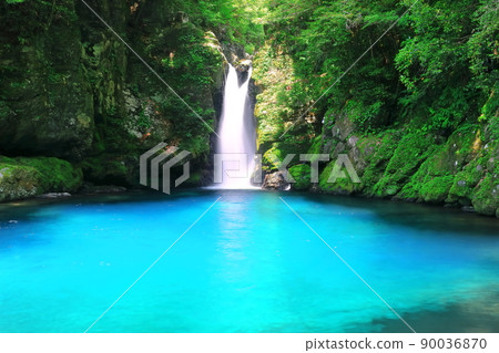 [Kochi Prefecture] Nikobuchi's Niyodo Blue 90036870