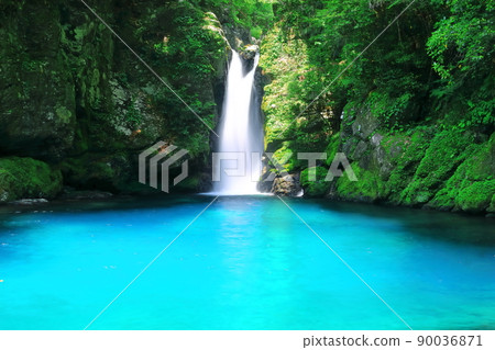 [Kochi Prefecture] Nikobuchi's Niyodo Blue 90036871