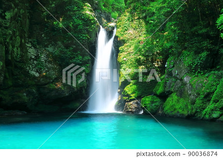 [Kochi Prefecture] Nikobuchi's Niyodo Blue 90036874