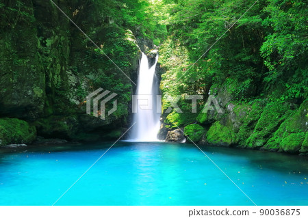 [Kochi Prefecture] Nikobuchi's Niyodo Blue 90036875