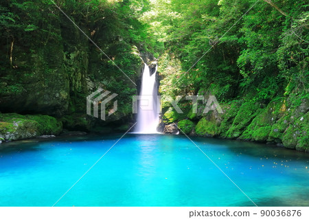 [Kochi Prefecture] Nikobuchi's Niyodo Blue 90036876