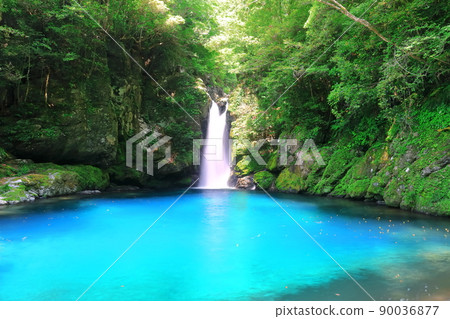 [高知縣] Nikobuchi的Niyodo Blue 90036877