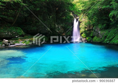 [Kochi Prefecture] Nikobuchi's Niyodo Blue 90036887