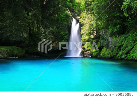 [Kochi Prefecture] Nikobuchi's Niyodo Blue 90036893