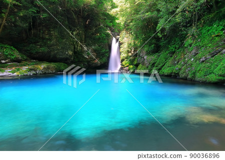 [Kochi Prefecture] Nikobuchi's Niyodo Blue 90036896