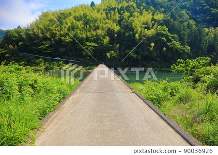 [Kochi Prefecture] Aso Subsidence Bridge under fine weather (Niyodo River) 90036926