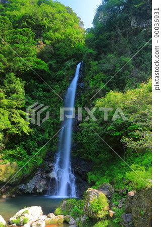 [Kochi Prefecture] Fresh green Otaru Falls (Niyodo River) 90036931