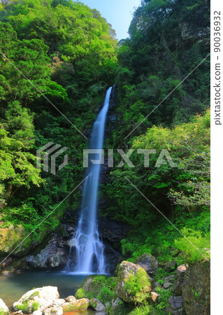 [Kochi Prefecture] Fresh green Otaru Falls (Niyodo River) 90036932