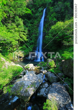 [Kochi Prefecture] Fresh green Otaru Falls (Niyodo River) 90036947