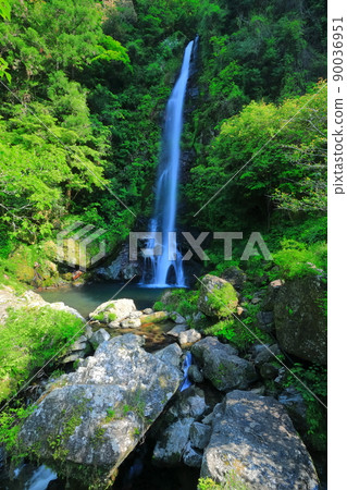 [高知縣]鮮綠的小樽瀑布（仁淀川） 90036951