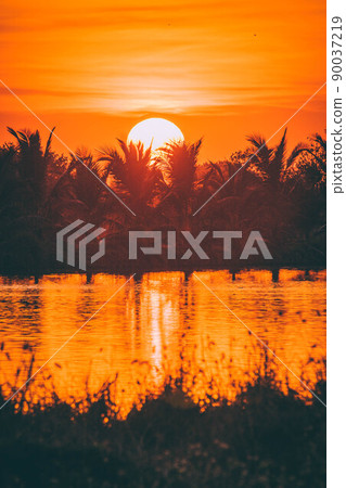 Silhouette of Palm tree at sunset time orange sky. Golden sun sunset abstract season weather. Silhouette of Palm tree at sunset time orange sky. Golden sun sunset abstract season weather. 90037219