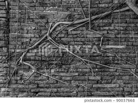 Old red brick wall background, Black & white Old red brick wall background, Black & white 90037668