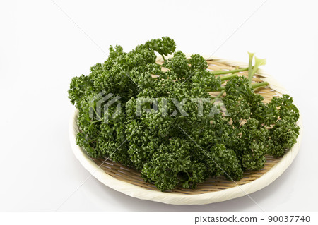 白色背景濾鍋上的歐芹 白色背景濾鍋上的歐芹 90037740