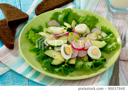 Fresh vegetable salad with sour cream, radish, cucumber and lettuce. 90037848