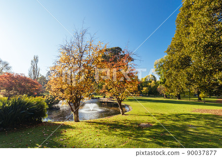 Treasury Gardens in East Melbourne Victoria Australia 90037877