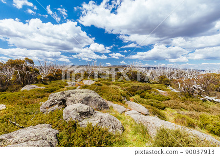 Wallace Hut near Falls Creek in Australia 90037913